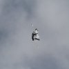 Aviation